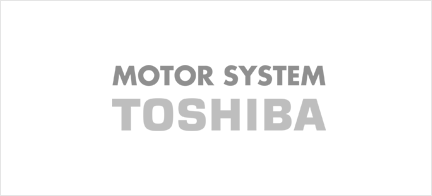 Sistema Motorsystem